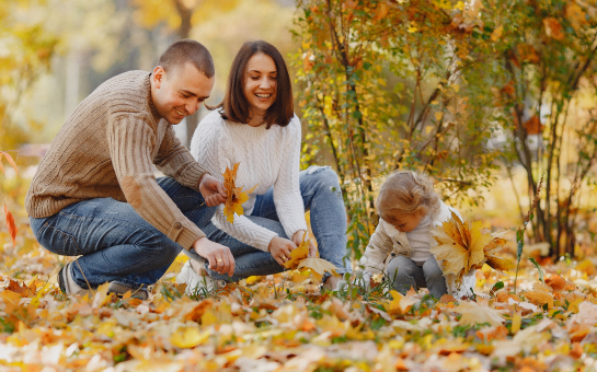 秋季旅游的最佳旅行医疗保险 | Insubuy